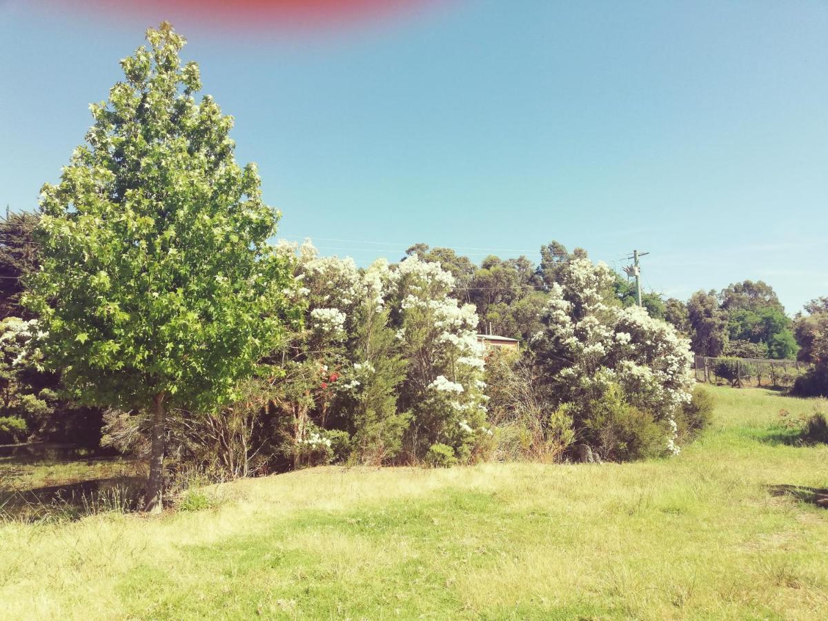 Woodlands Of Balingup Bush Cottages Exterior foto